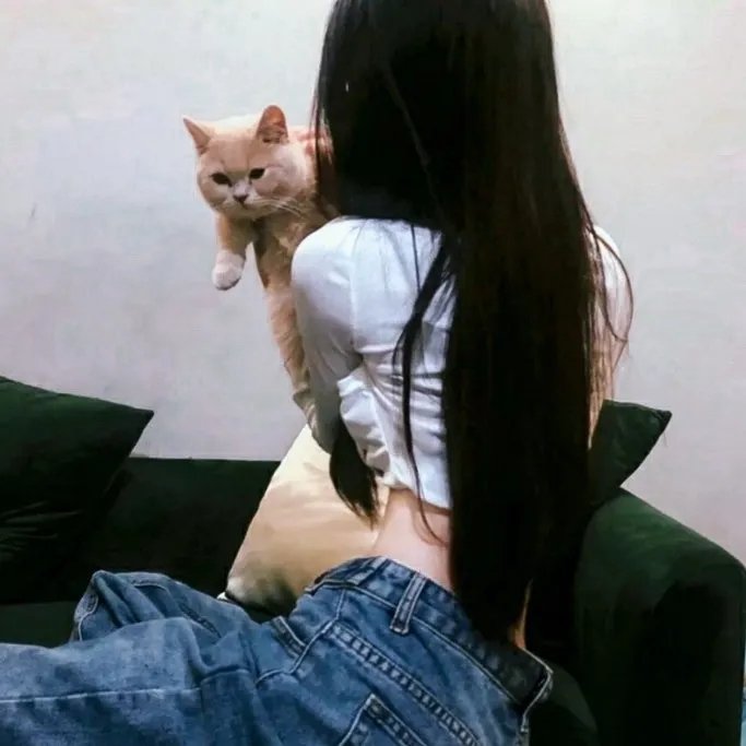 月儿圆